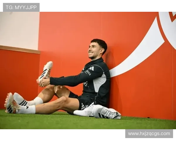 布伦特福德关键球员近期表现稳健,持续提升球队竞争力